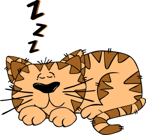 Letting students sleep in: a blessing or a curse?