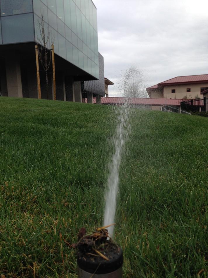 The sprinklers by the Student Center are found watering the lawn on a rainy day. Although the district controls the water usage at Monte Vista, students can still take action to conserve water during the statewide drought.