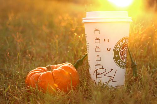 Starbucks Coffee and a traditional pumpkin come together during the fall year to create the Pumpkin Spice Latte. Even though whats inside the popular latte is questionable, it still is a tasty treat for the season.