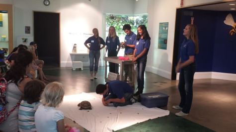 Lindsay Wildlife Museum volunteers