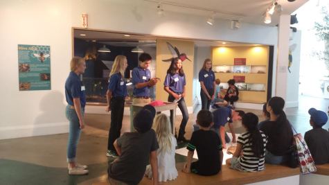 Katie Keller and other volunteers at Lindsay Wildlife Museum present animals to a class of children. For the past four years, Keller has been volunteering at the museum, educating the youth of our community about the world around us. This program has provided her with many skills for the future.