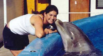 Meghan Faerber, current biology teacher here at Monte Vista, is pictured here working with Akeakamai the dolphin in a cognitive research lab in Hawaii as a trainor.
