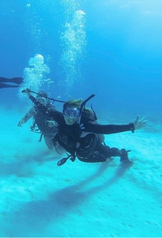Under The Sea: Ms. Reed knows about more than just music