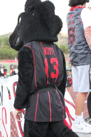 Musty returns with high spirit