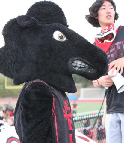 Musty returns with high spirit