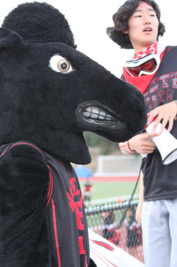 Kim and the MV mascot, Musty the Mustang, hyping up a crowd during a football game.