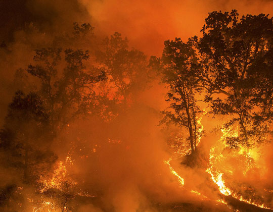 Wildfires are continuing to spread across California and have burned over four million acres of land so far in 2020. The growing intensity of these blazes has provoked fear over the increasing influence of climate change in these natural disasters.