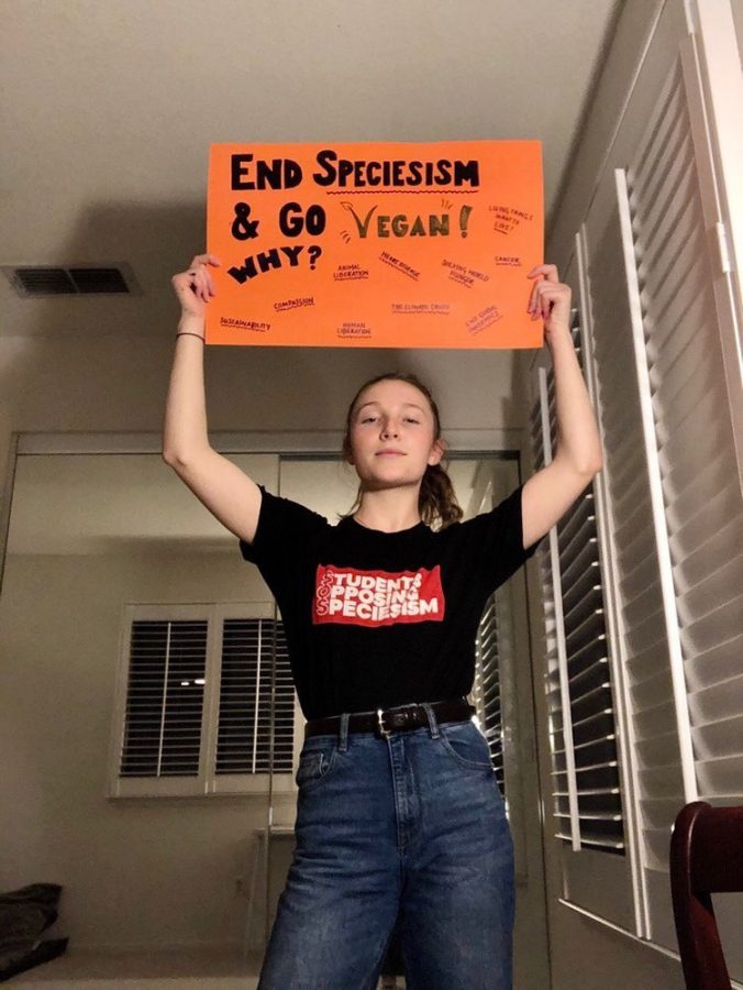 Senior+Grace+McClure+is+holding+up+a+sign+she+made+explaining+the+reasoning+behind+going+vegan.+These+reasons+include+compassion%2C+sustainability%2C+and+animal+liberation.