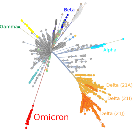 Omicron_SARS-CoV-2_radial_distance_tree_2021-Dec-01.svg