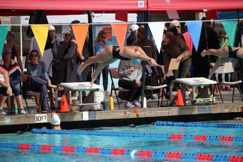 Gretta Callison dives into the pool starting her first race of the day. Callison competed in the Orinda Aquatics meet earlier this year.
