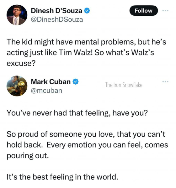 Mark Cuban’s response to Dinesh D’Souza’s tweet regarding Gus Walz at the DNC (Picture derived from: WordPress)