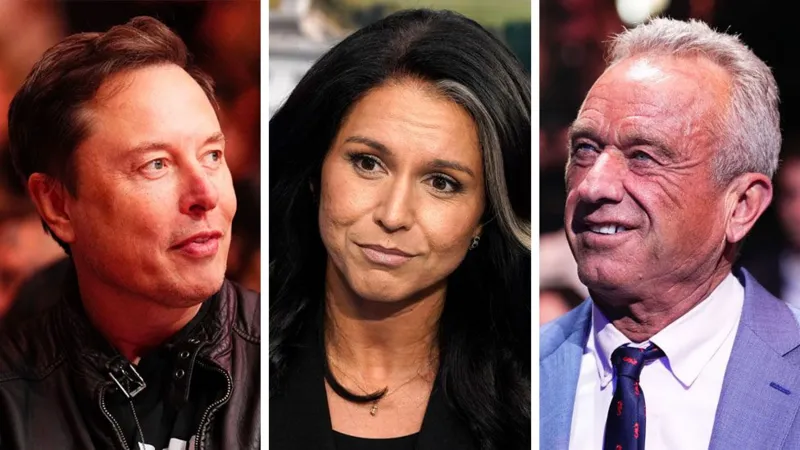 Trump cabinet (BBC) Left to right: Elon Musk, Tulsi Gabbard, Robert Francis Kennedy Jr.