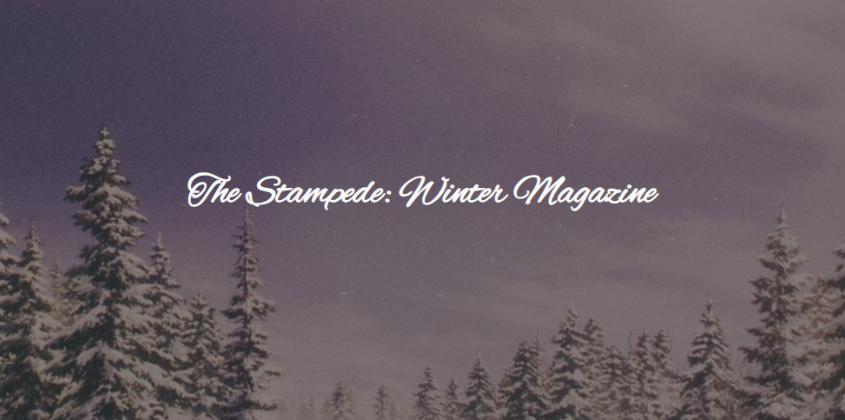 Winter Magazine